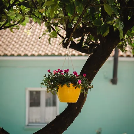 Greg's House Holiday home