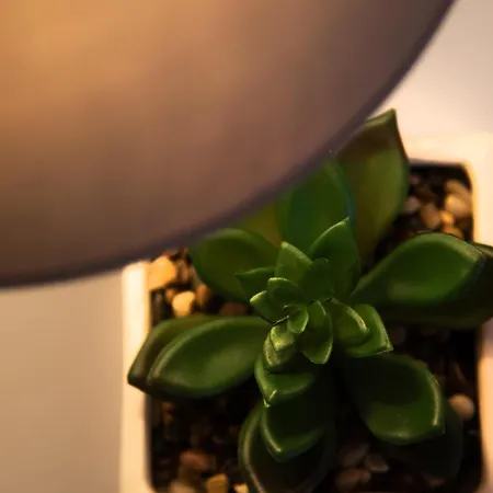 Greg's House Vitaládesz